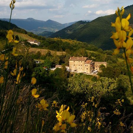 Country House Villa La Farfalla Pietralunga  Buitenkant foto