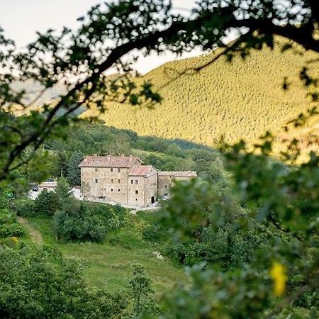Country House Villa La Farfalla Pietralunga  Buitenkant foto
