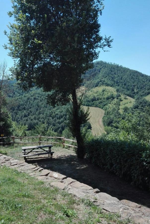 Country House Villa La Farfalla Pietralunga  Buitenkant foto